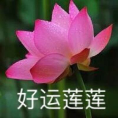 检察机关依法分别对赵晓东、刘卫华决定逮捕